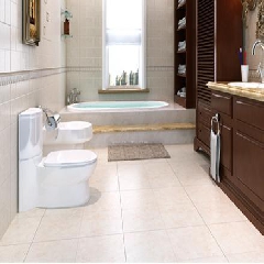 大将军陶瓷 浴室防滑 卫生间釉面砖 2-Y34133 300*600